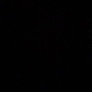 Meet your Posher, Erick